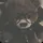 ꫀꪑ. ݁ ˖ ݁♬⋆.