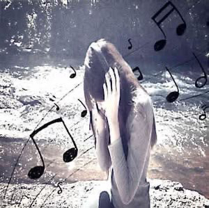 ·♫¸¸ 𝓪𝓺𝓾𝓪𝔁𝓲𝓬¸ ¸♫·