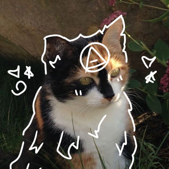 ╺⃝⃤ 🐾𝙺1𝚝𝚝𝚎𝚗_𝚘𝚗_𝚙4𝚠𝚜🐾 ╺⃝⃤