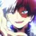 Shoto Todoroki 