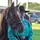 🐴🐔✝️✨️Kate✨️✝️🐶🐴