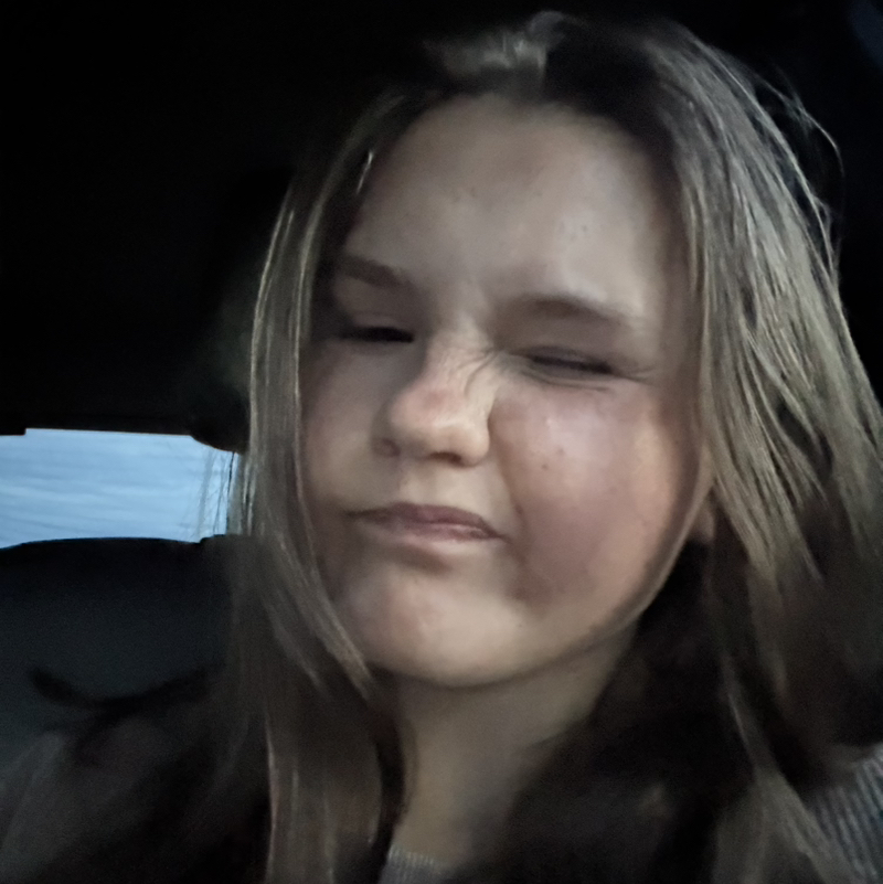 tinleigh
