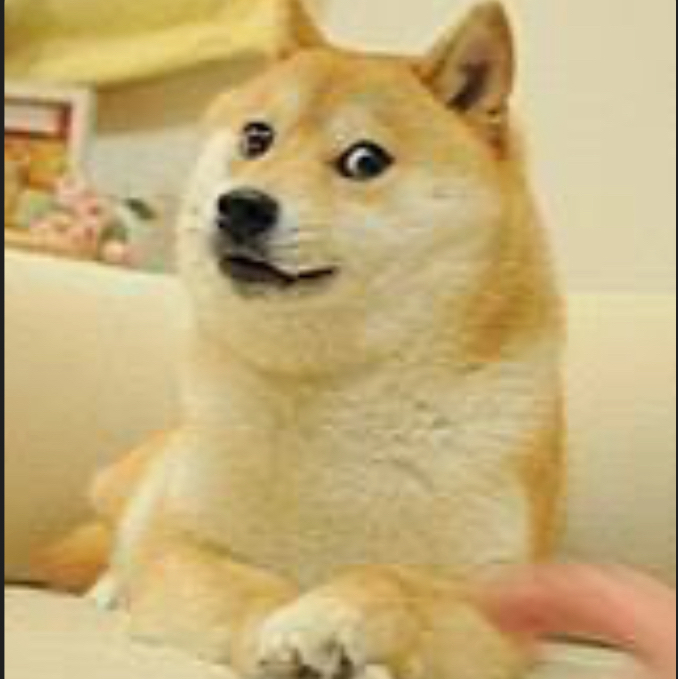 ThedogerYT
