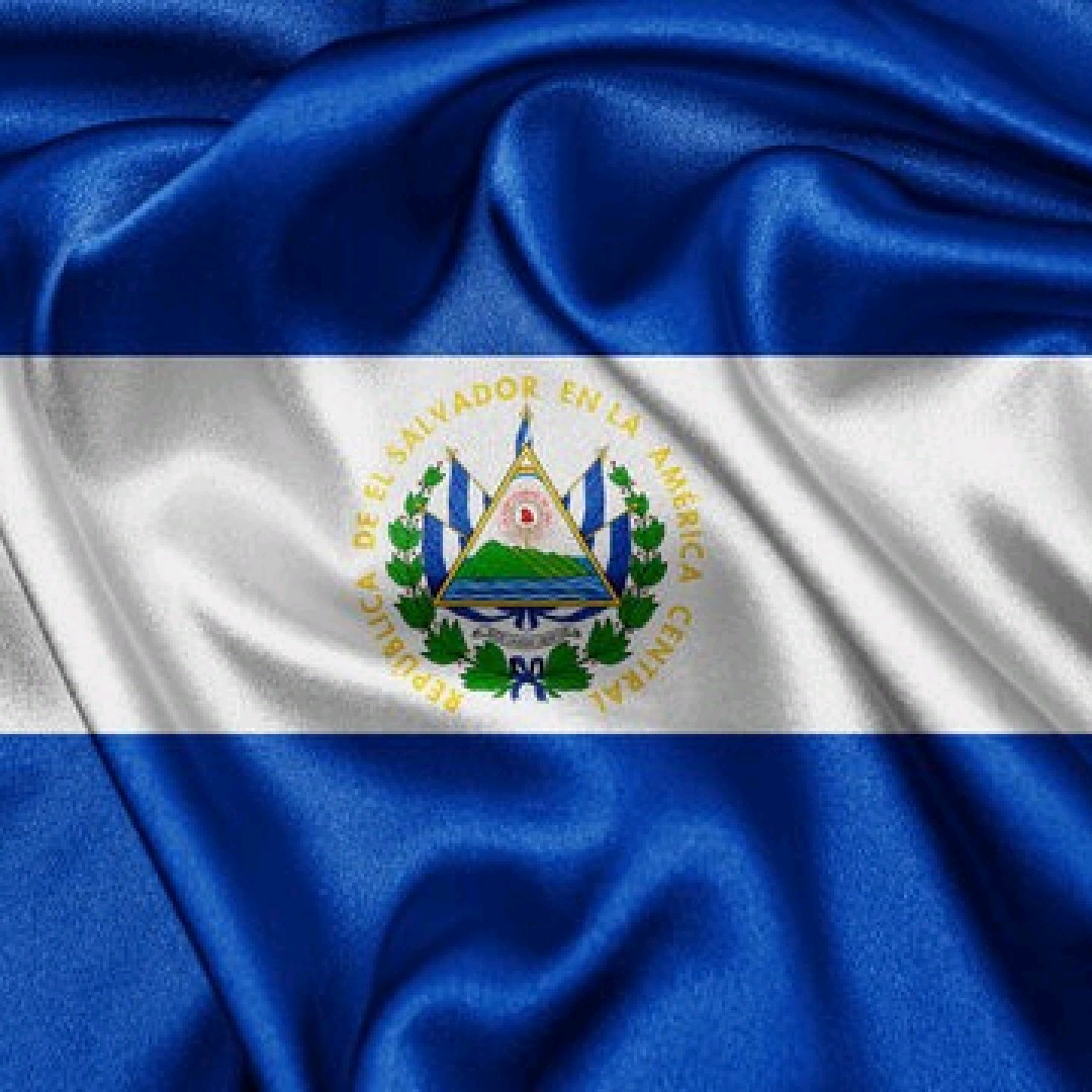 Salvy503