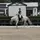 Sophia_dressage
