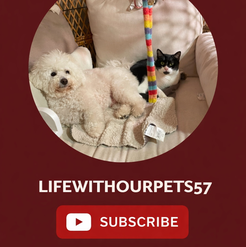 Lifewithouranimals57