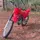 CRF_mj