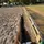 🏎️🐴Snowflake_eq🐴🏎️