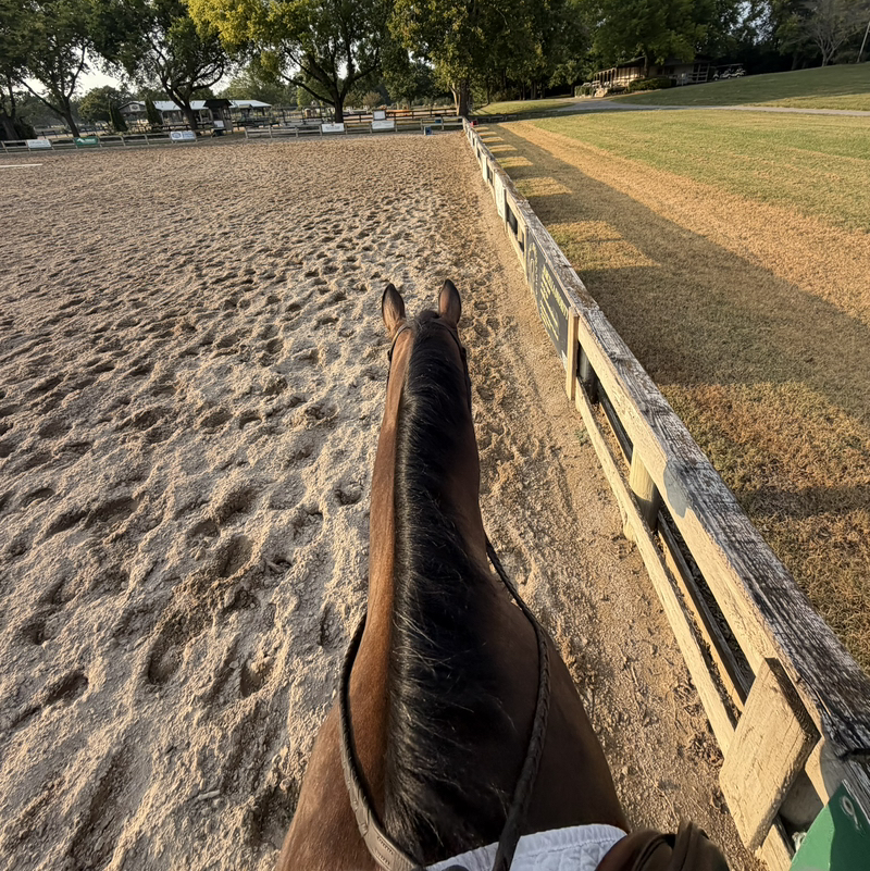 🏎️🐴Snowflake_eq🐴🏎️