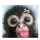 Heartz4ESSA