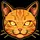 orangecatdude