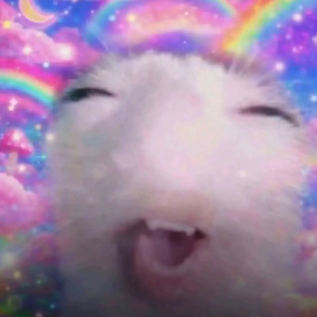 օղxվ🌈VA