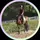 TGL.eventing