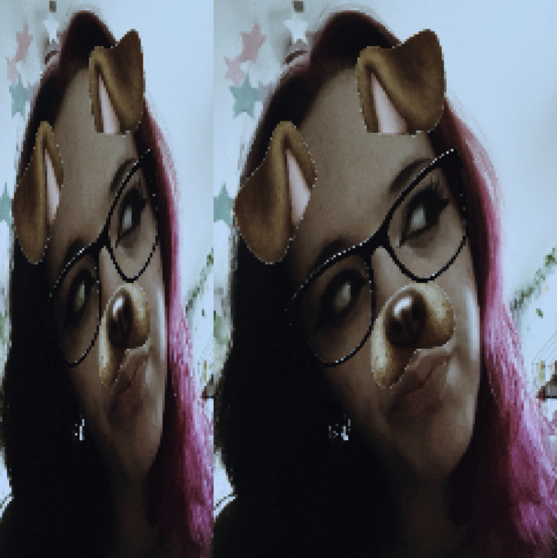Tacocat21