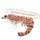 Holy_Shrimp