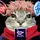 cat yuji!