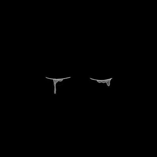Silent Tears