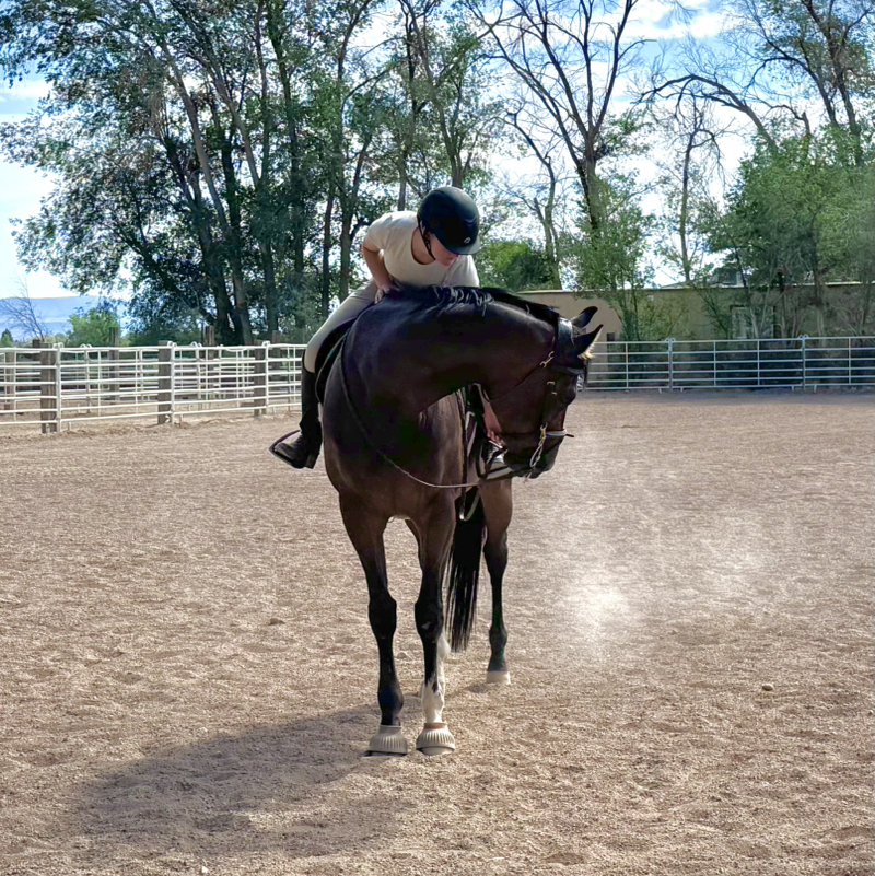 lunie.eq