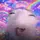 [ QUIT ] sugur_cube