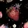 🍓ੈ✩ emostraws ੈ✩🍓