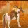 Sage_EquestrianEdits