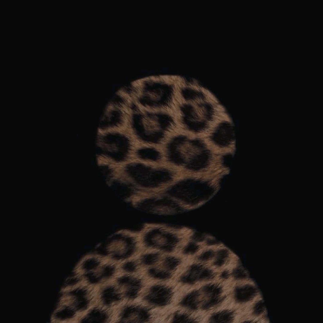 𝓐𝓿𝓲𝓿𝓪 𝓜𝓪𝓮🐆