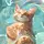 catso