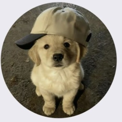 🎀🥎emma🥎🎀