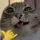 Hey its falla 