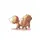 💔Eevee(ToT)