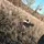 krae ⋅♡