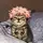 (*Kibby*)