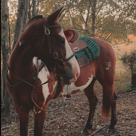 MTS_eventing🍂🎃