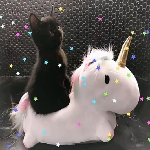 gigi! 🌈⭐️🦄