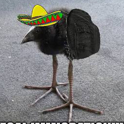PT.PUKEKO