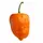 Habinero🌶️