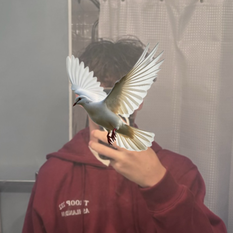 Bot