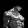 Archy