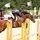 Autumn Equestrian 