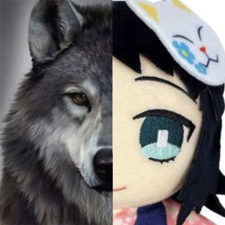 aikooo