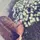 Chloevlogs_4u!!