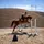 ZP_equestrian✨