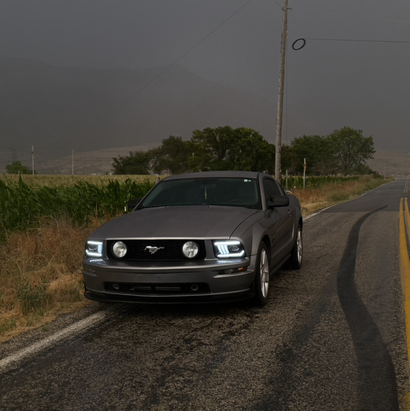 gry_s4.6