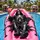 Digital Remains 