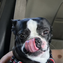 Chloe Chloe #1