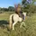 KLS✝️🤠🐴🐄🐮😀