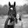 Equitation Addie