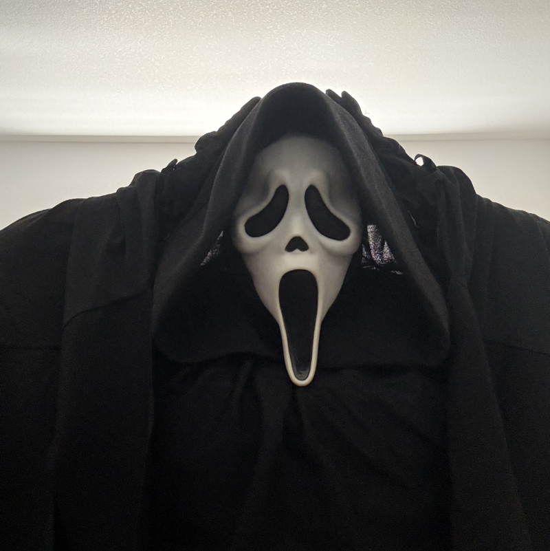 Ghostfaceisback4438