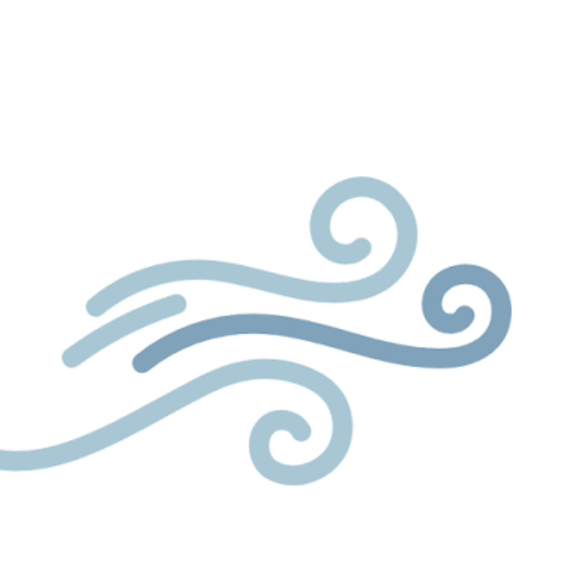 the wind