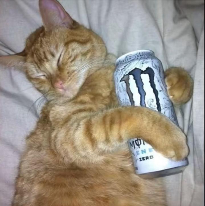 𝓩𝓮𝓾𝓼